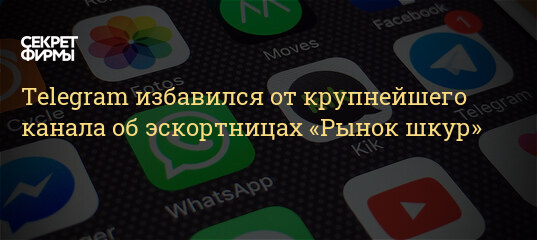 Рынок Шкур Казахстан Телеграмм