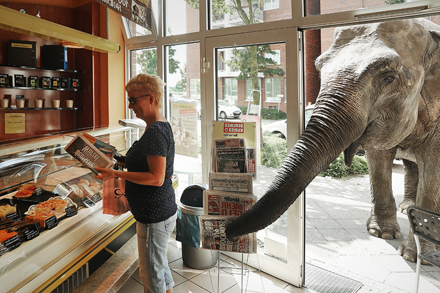 Как оптимизировать закупки чего угодно 