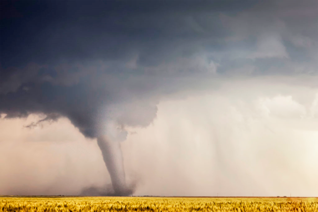 Как раскрутить магазин в Instagram, «ВКонтакте» или на Avito