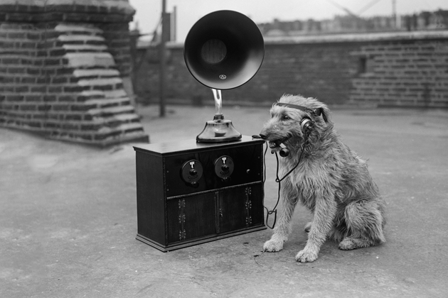 Зачем вашей компании своё радио