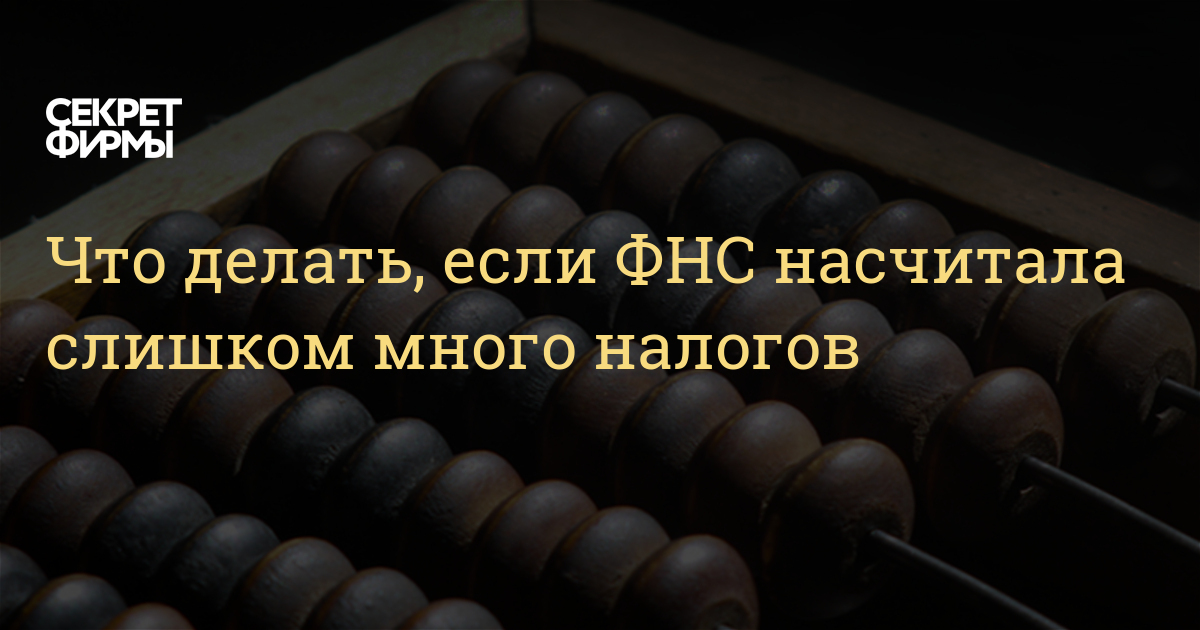 Руководство фнс россии что делает