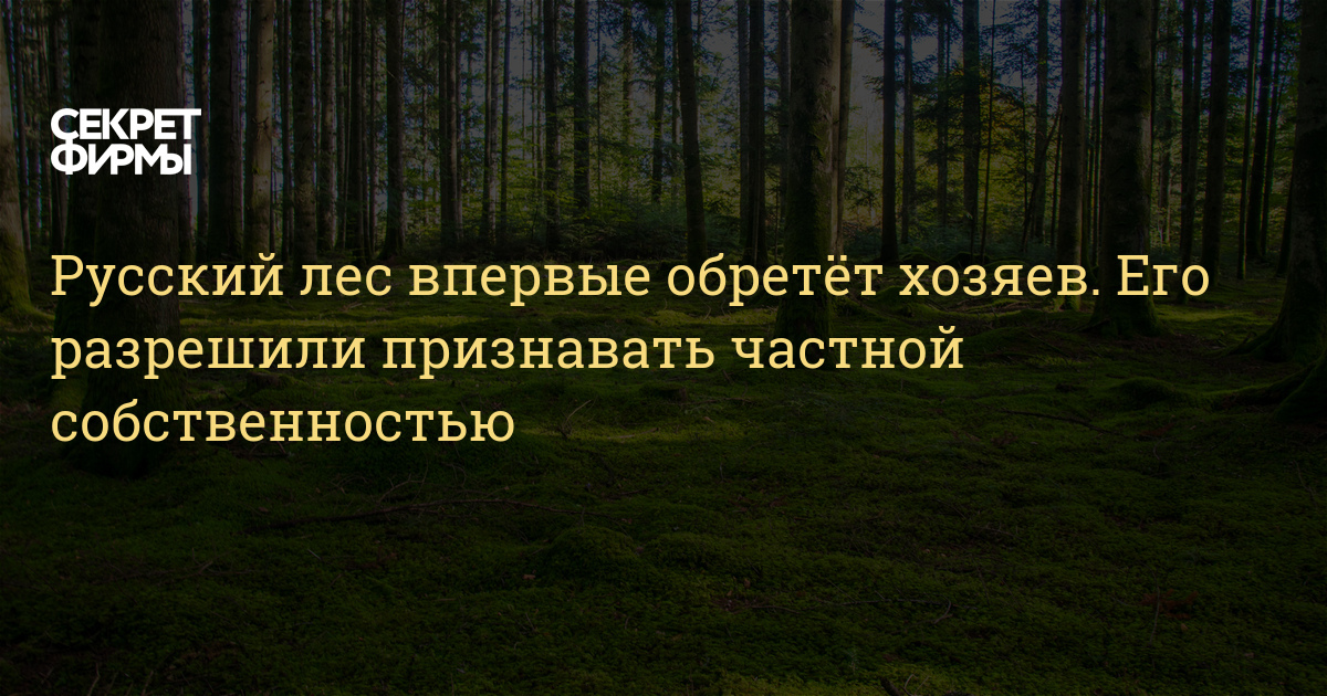 что говорят хозяину леса. что говорят хозяину леса. мифы древних славян леший короткое.