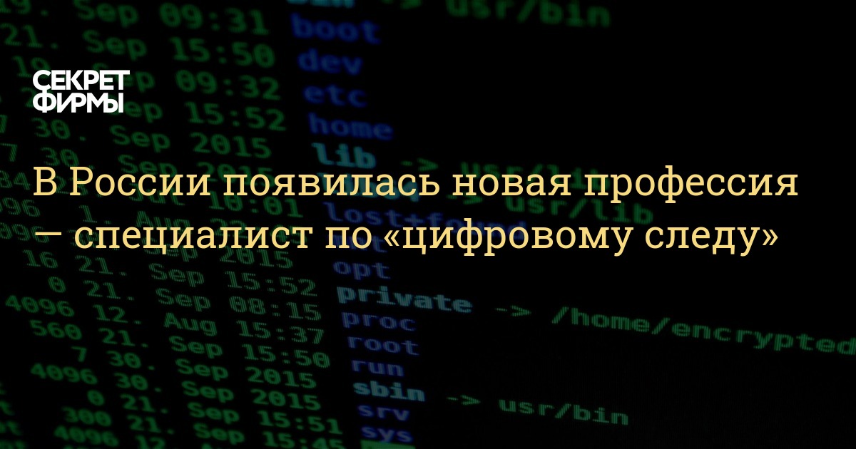 Новая Профессия В 30 Лет Новая Профессия В 30 Лет