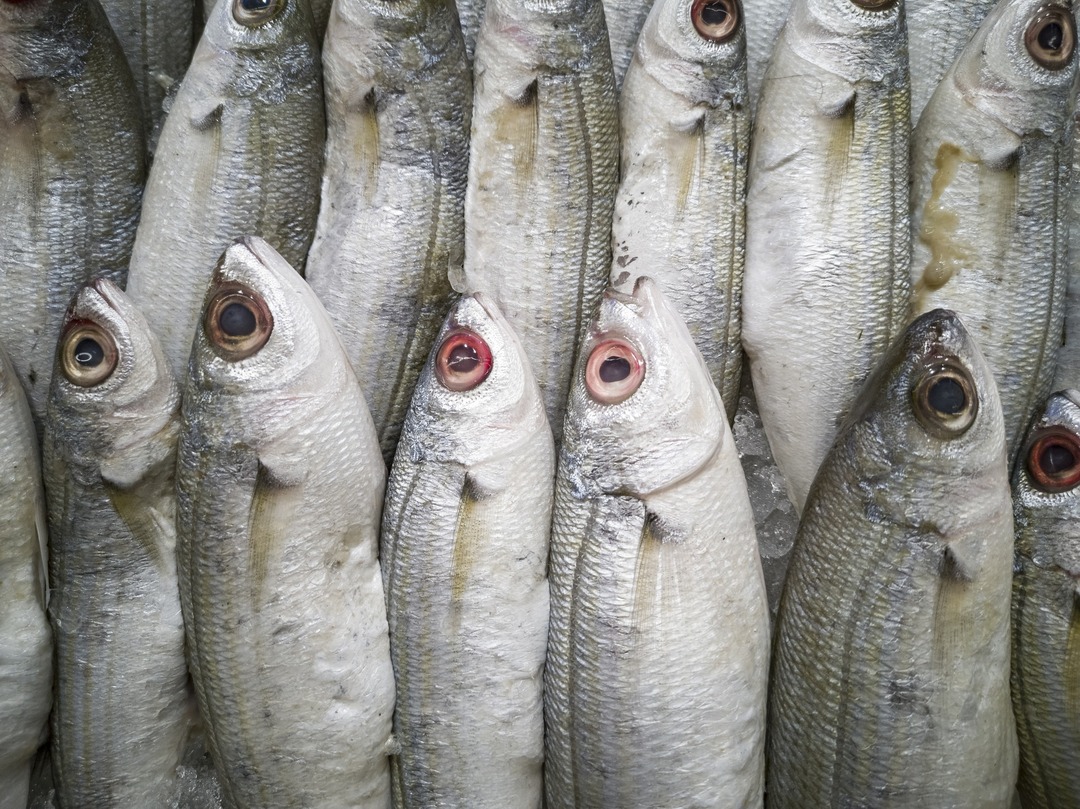 Китайцы обнаружили следы коронавируса на российских морепродуктах