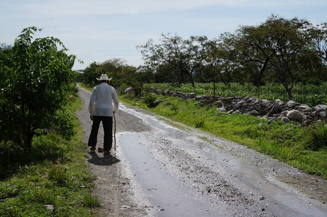 Play with old man on the road