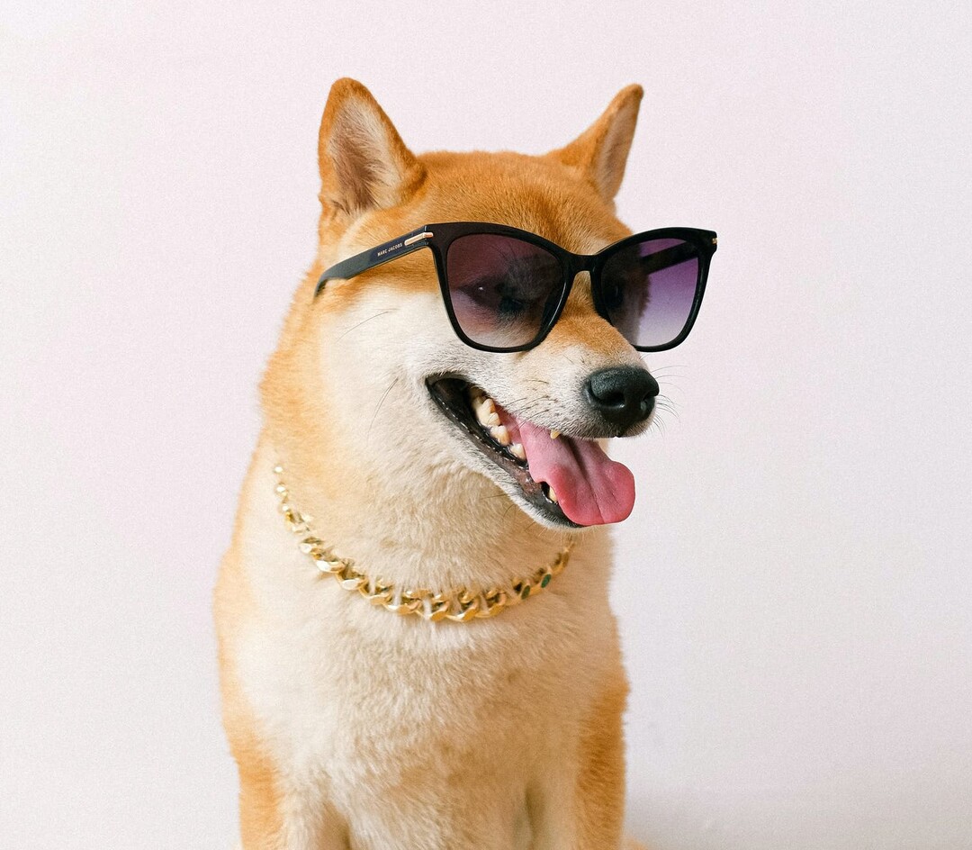Неизвестный купил мемную криптовалюту Shiba Inu на $1,15 млрд