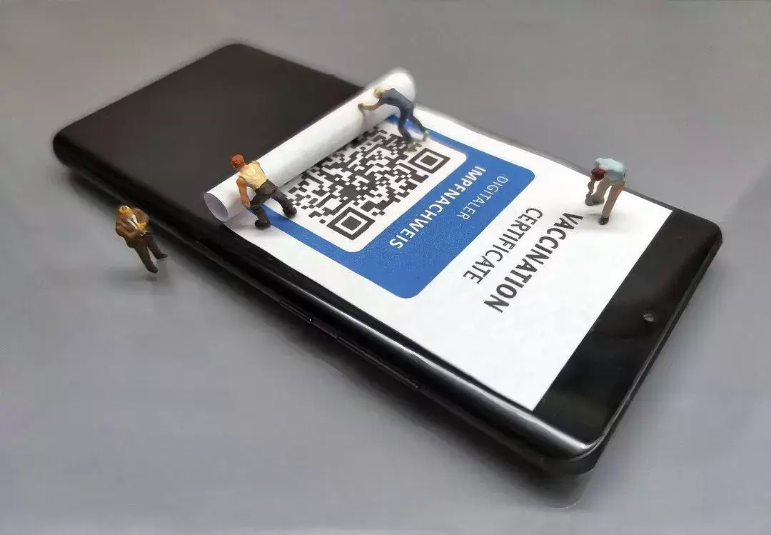 В Кремле прокомментировали планы переименовать QR-коды