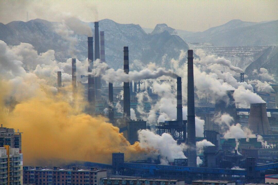 Выяснилось, какую комиссию стрясут с бизнеса за операции с углеродными единицами