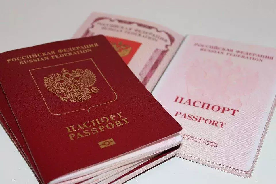 Стало известно, в каких регионах запустят цифровые паспорта