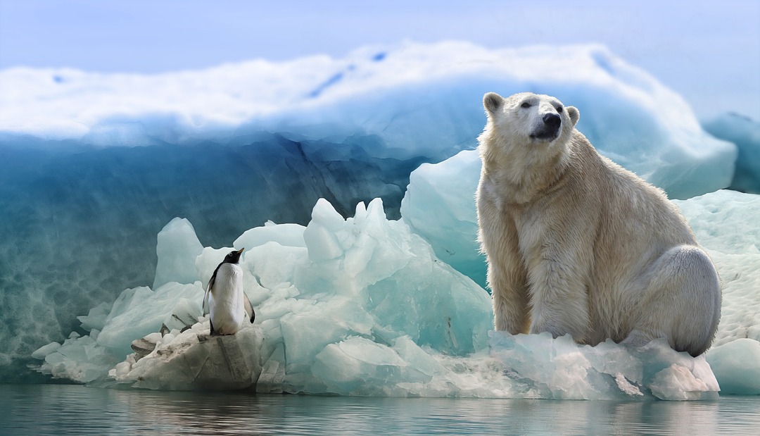 В Москве пройдёт международная конференция Арктика: гуманитарные векторы развития