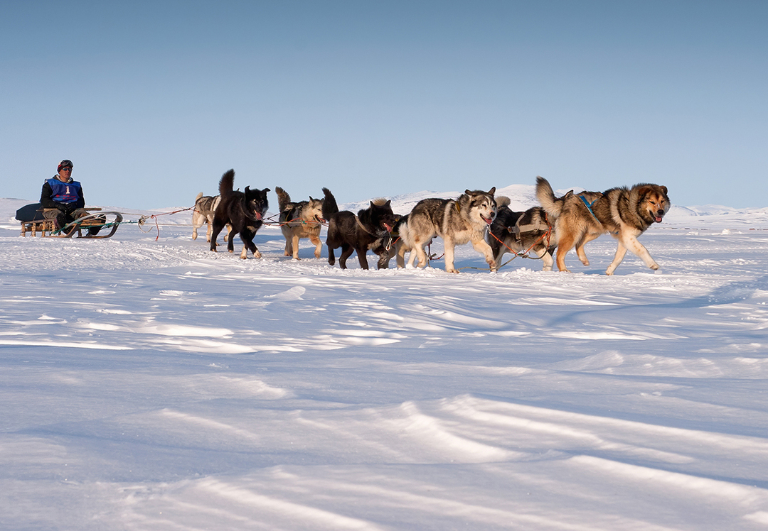 Свой кусок вечной мерзлоты. Как россиянам получить арктический гектар ...