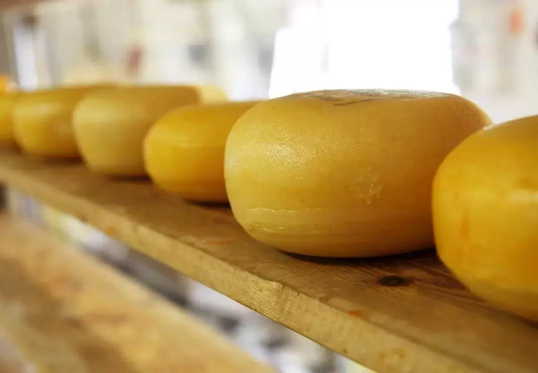 В России подсчитали долю импортных продуктов