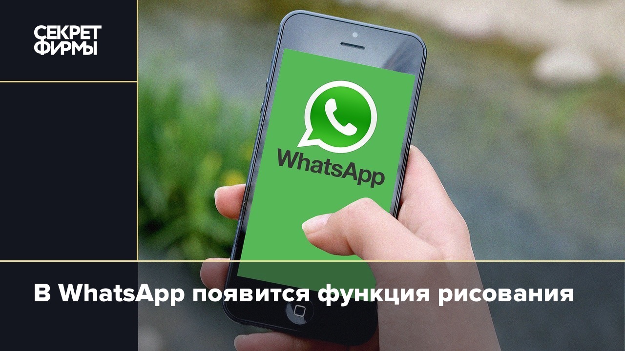 В WhatsApp появится функция рисования — Секрет фирмы