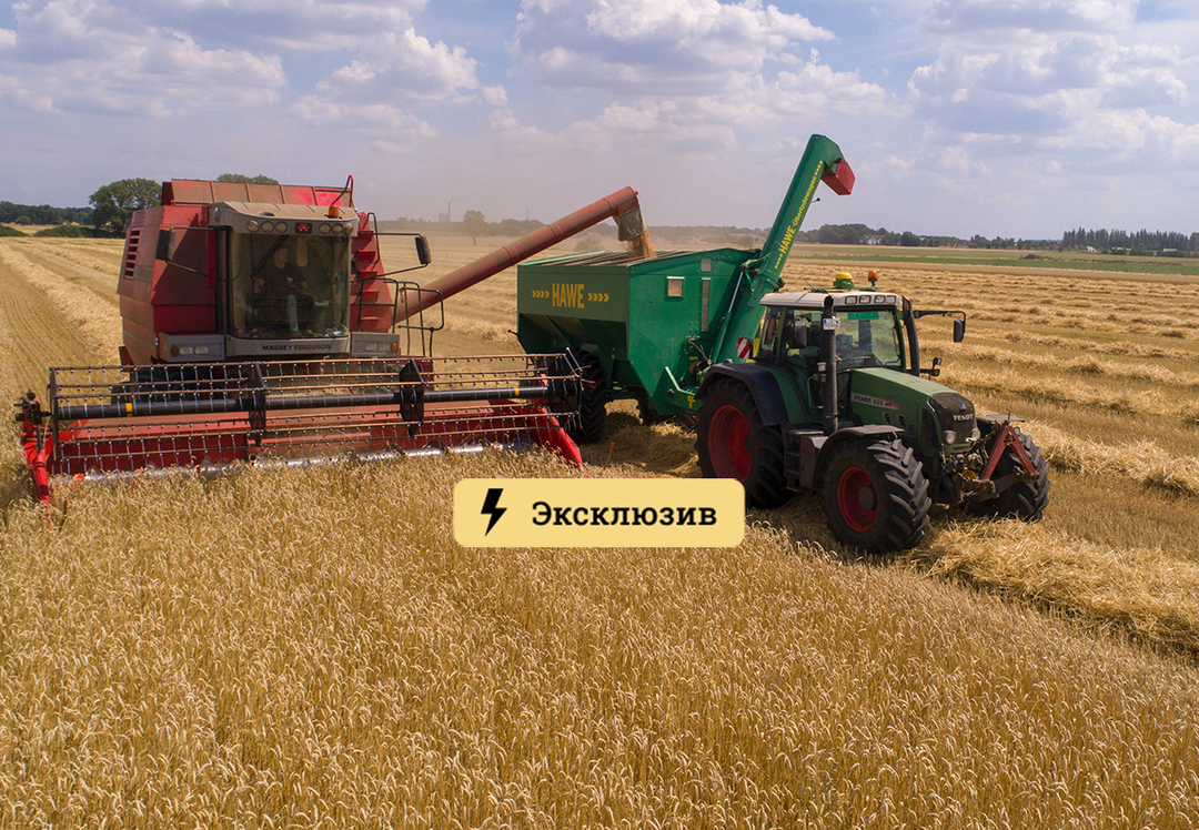 Россиянам рассказали, как пошлины на пшеницу влияют на стоимость продуктов