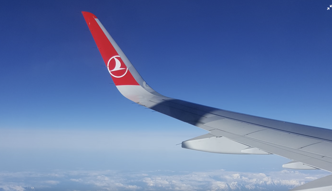 Турецким авиакомпаниям отдали две трети перелётов в Россию