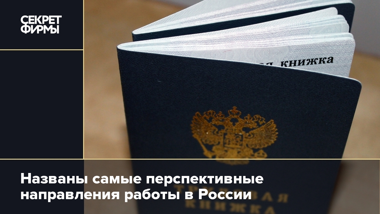 Названы самые перспективные направления работы в России — Секретфирмы