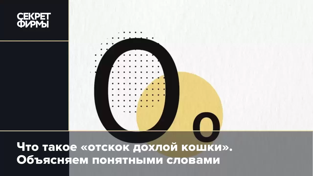 Что такое «отскок дохлой кошки». Объясняем понятными словами — Секрет фирмы