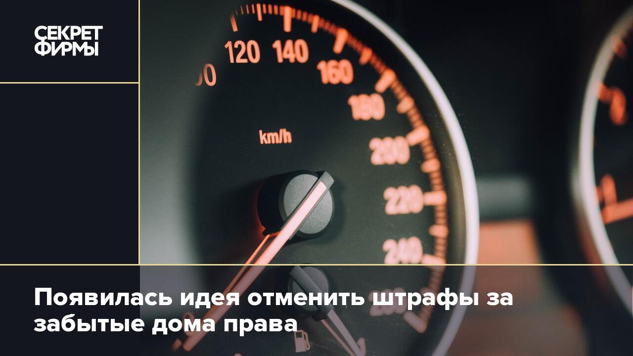 Россиянам посоветовали оперативно поменять водительские права — Секрет фирмы