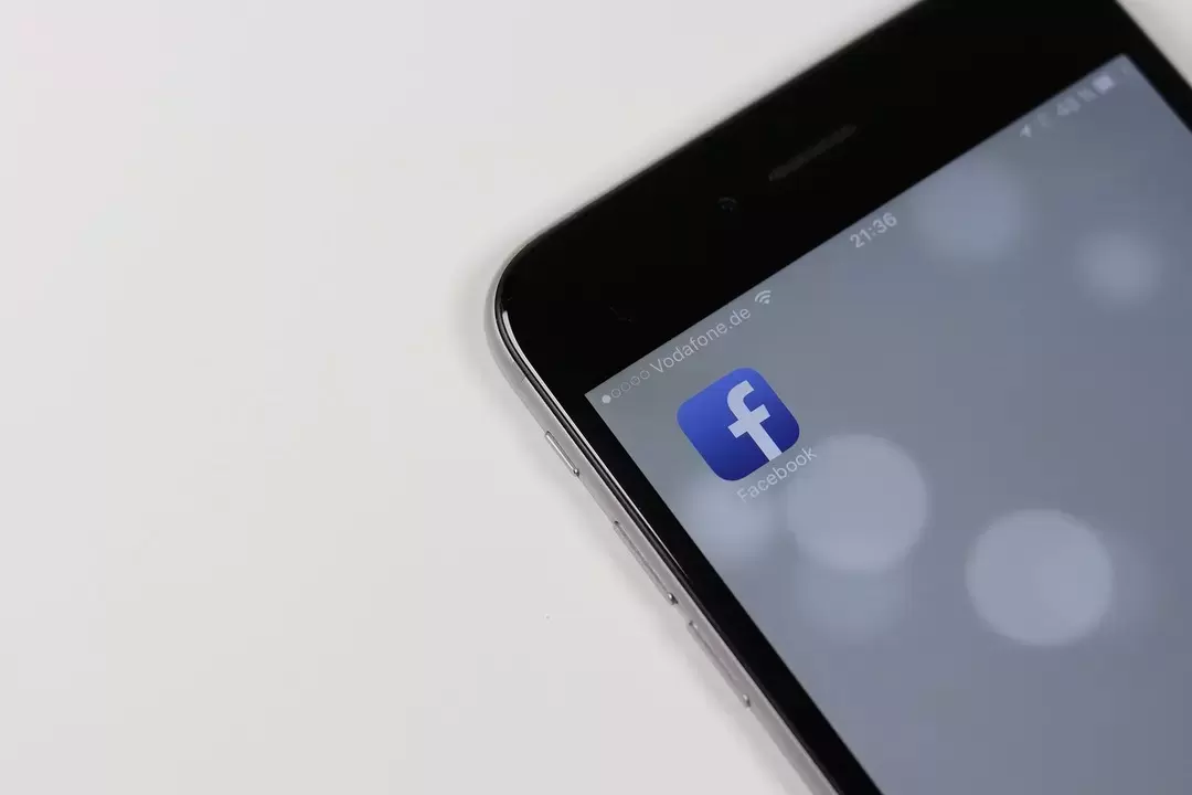 В Европе призвали заблокировать Facebook* и Instagram*