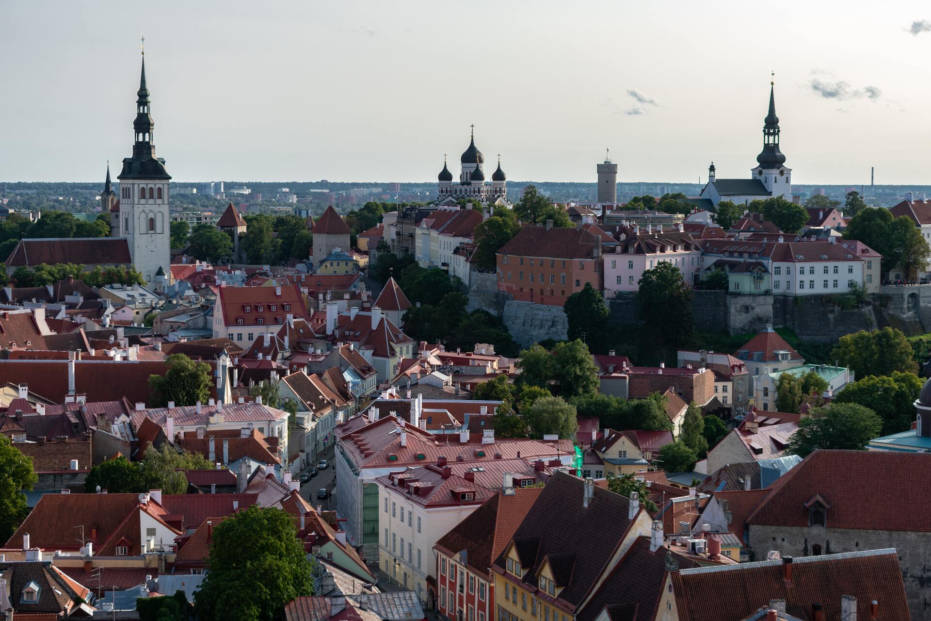 Эстония перестала выдавать россиянам учебные визы и вид на жительство