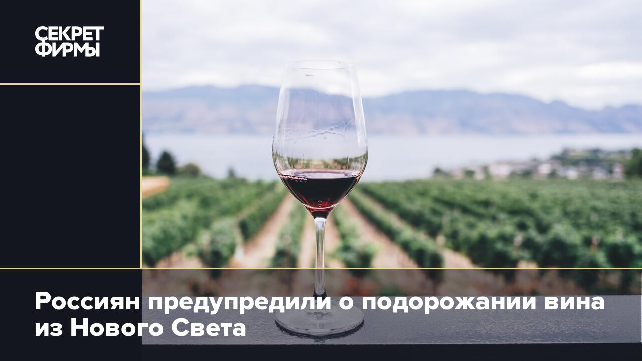 Вин и каждое из них. Вина нового света. Новый свет винодельня. Новый свет Крым вино. Вино из Чили.