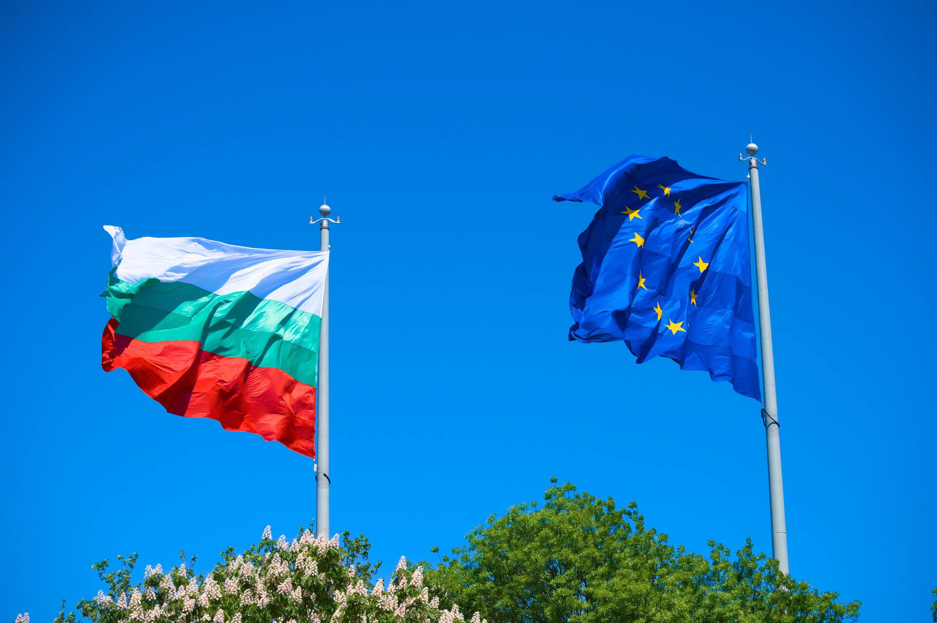 Отказавшаяся от оплаты в рублях Болгария сообщила о переговорах с Газпромом