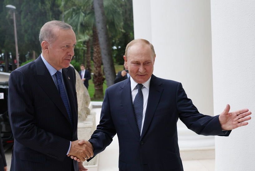 Стало известно о раздражении Запада из-за сотрудничества России и Турции