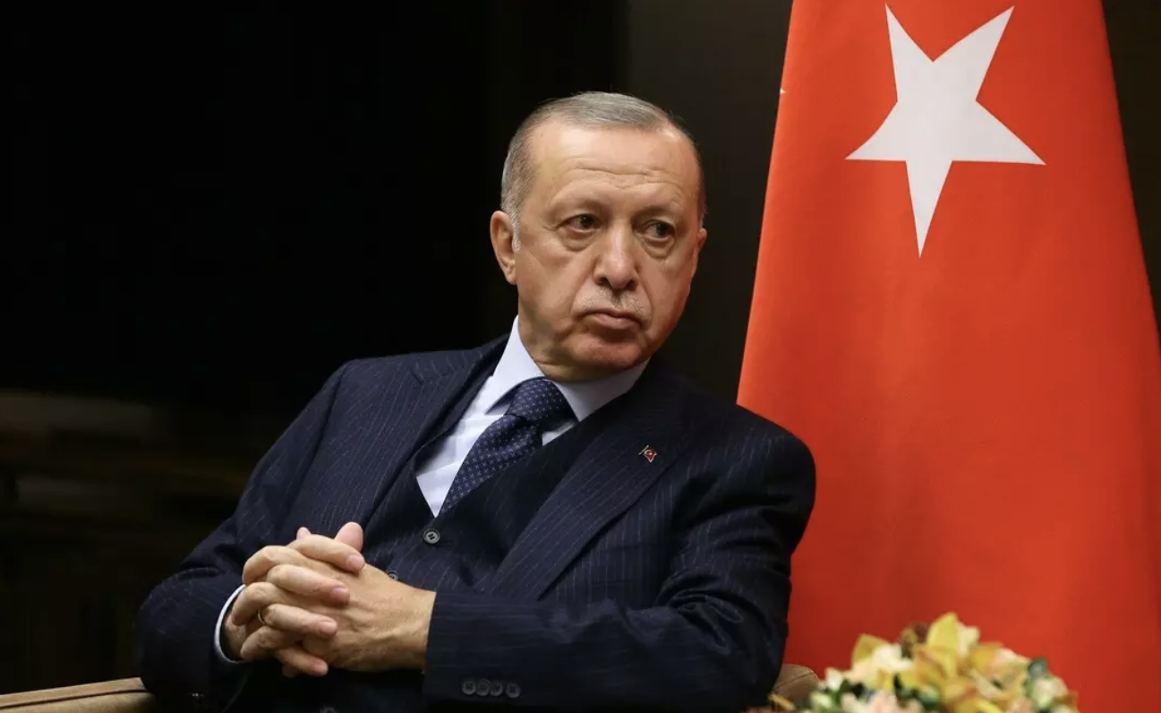 Президент Турции заявил о панике Запада