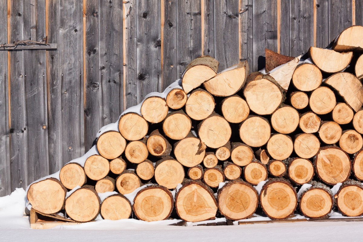 Немцы бросились скупать дрова, чтобы не замёрзнуть без российского газа