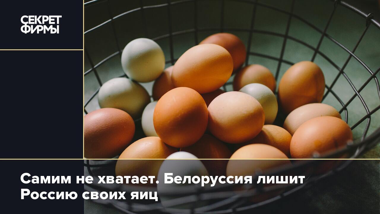 Купить яйца в белоруссии. Белорусские яйца в России. Белорусские яйца бренды фирмы. Белорусские яйца в магните. Яйца чемоданчик Белорусские.