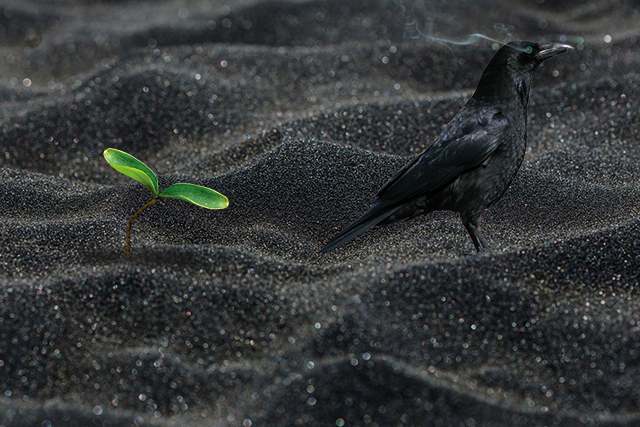 дневник ру войти на свою страницу воронеж без логина и пароля войти на страницу