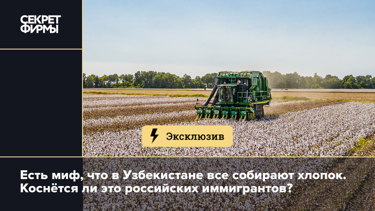 Есть миф, что в Узбекистане все собирают хлопок. Коснётся ли это российских  иммигрантов? — Секрет фирмы