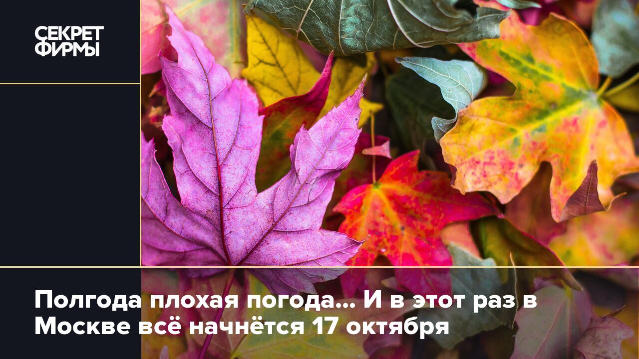 Полгода плохая. Осенью 17 октября. Москва осенняя 17 октября. Когда в Москве начнутся осенние каникулы.