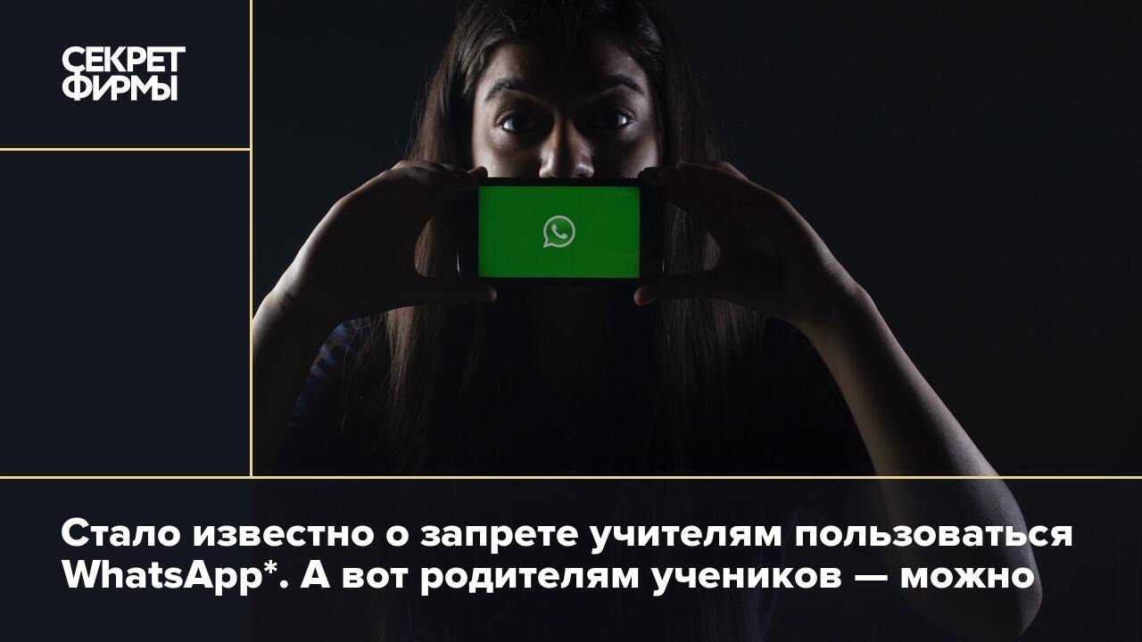 Стало известно о запрете учителям пользоваться WhatsApp*. А вот родителям  учеников — можно — Секрет фирмы