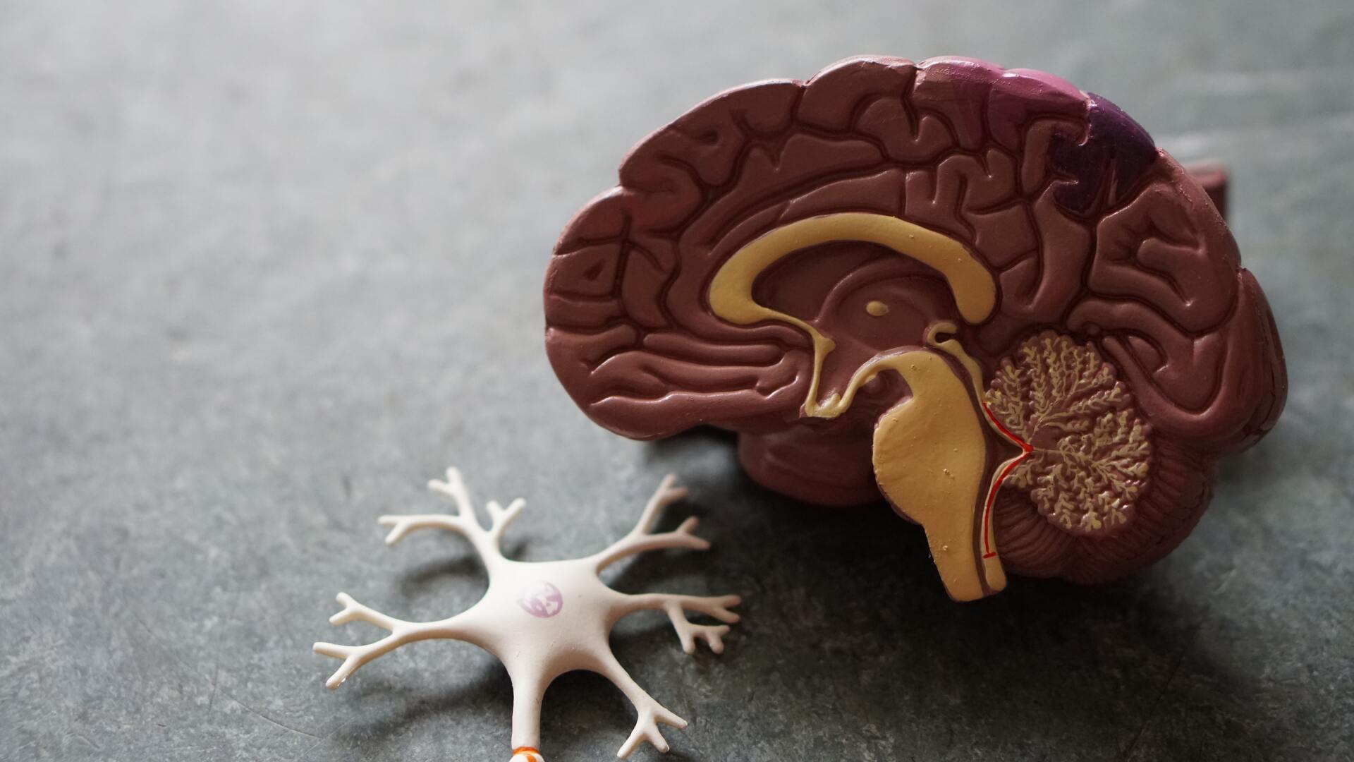Как понять, что у вас инфекция мозга Объясняет врач