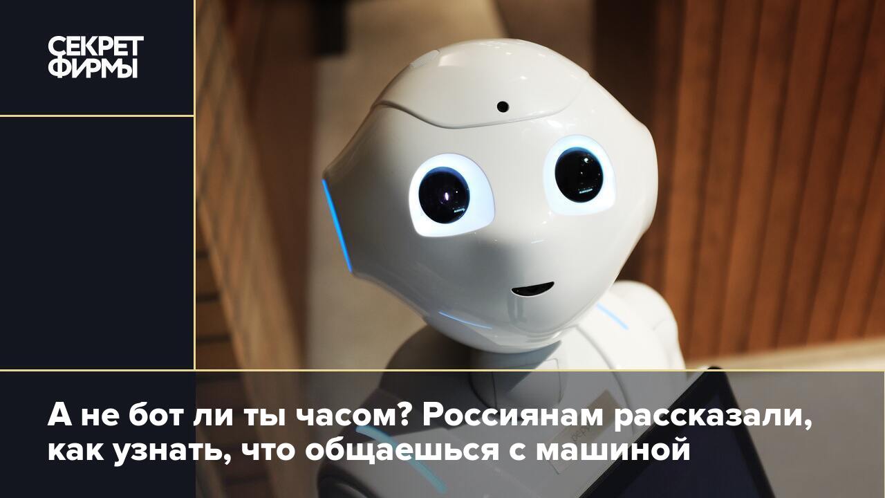 А не бот ли ты часом? Россиянам рассказали, как узнать, что общаешься с  машиной — Секрет фирмы