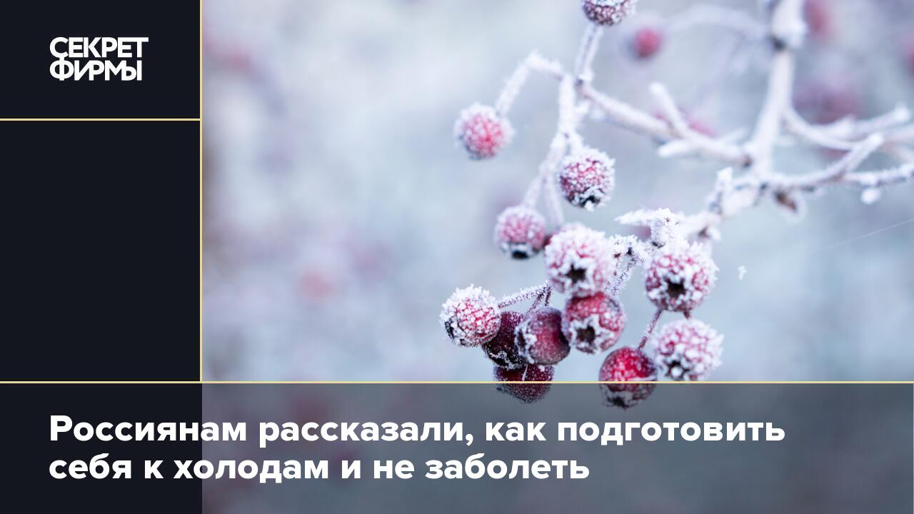 Россиянам рассказали, как подготовить себя к холодам и не заболеть — Секрет  фирмы