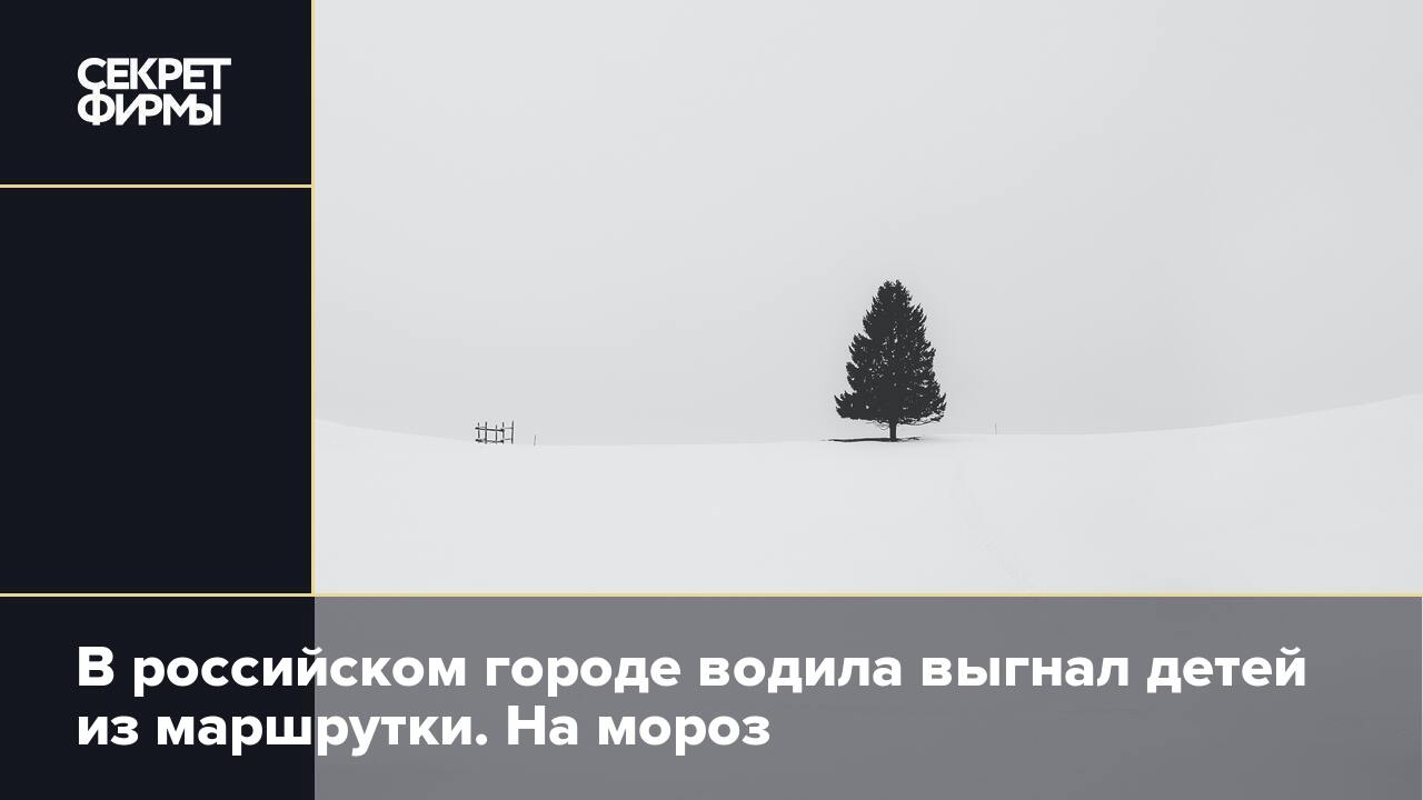 Российскую школьницу высадили из электрички на мороз. Она забыла проездной,  а до дома было ещё ехать и ехать — Секрет фирмы