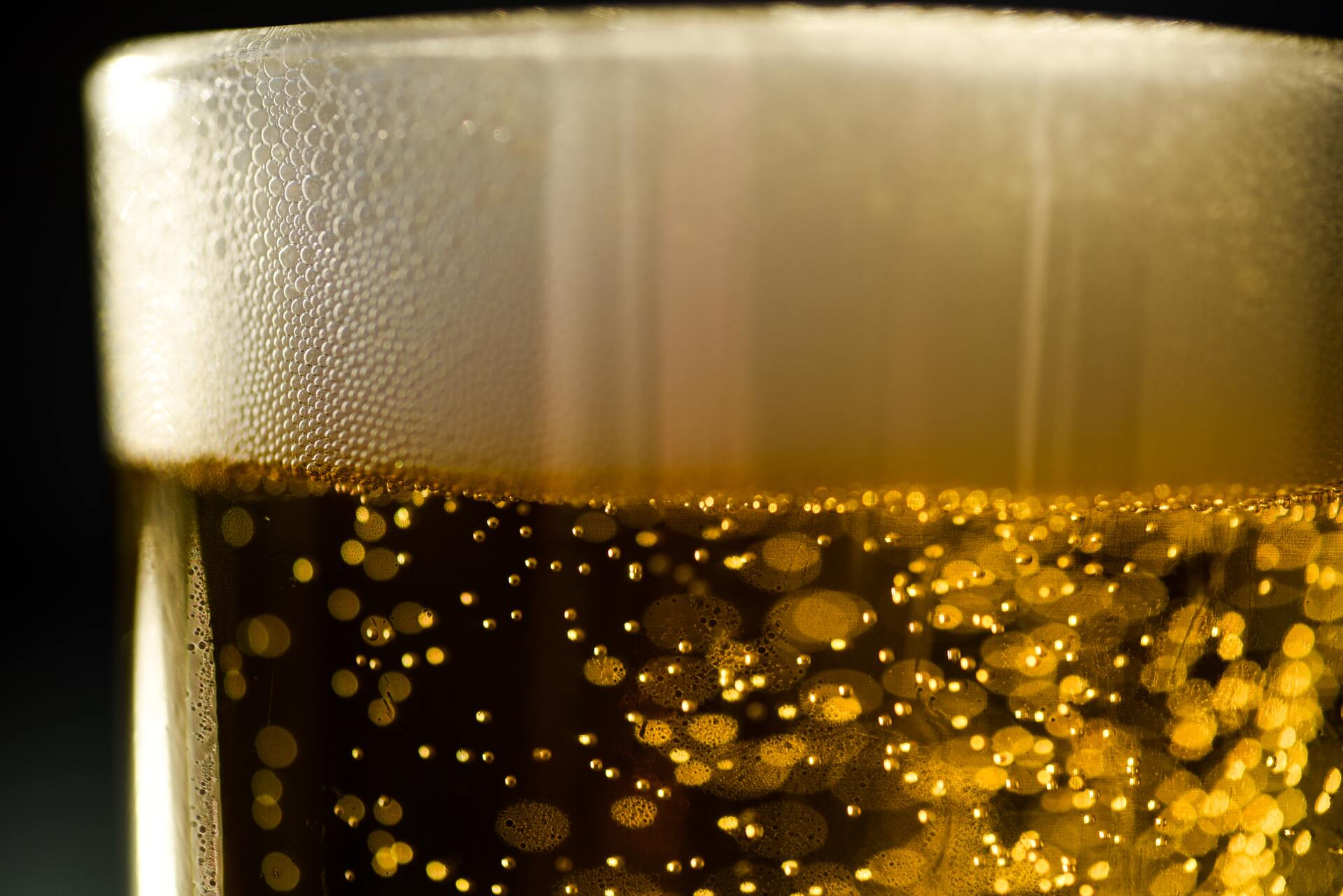 Губит людей не пиво. Учёные доказали пользу хмельного напитка