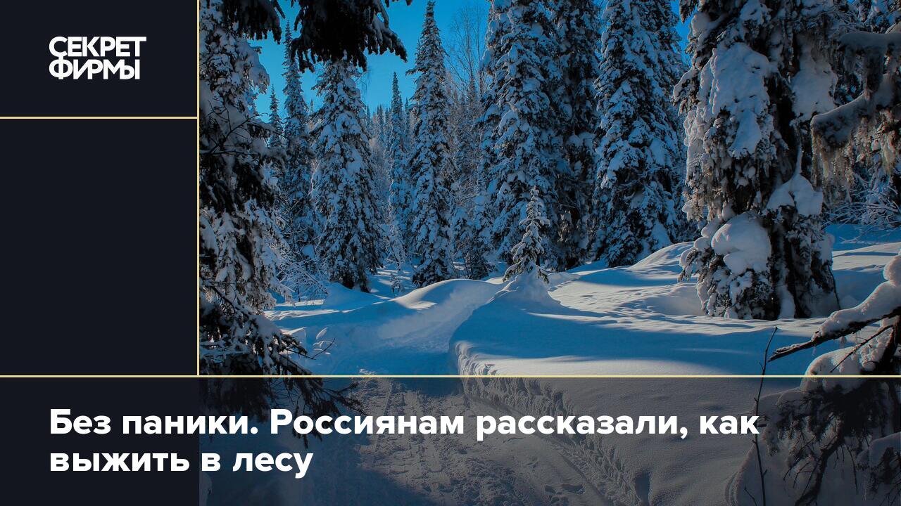 Без паники. Россиянам рассказали, как выжить в лесу — Секрет фирмы