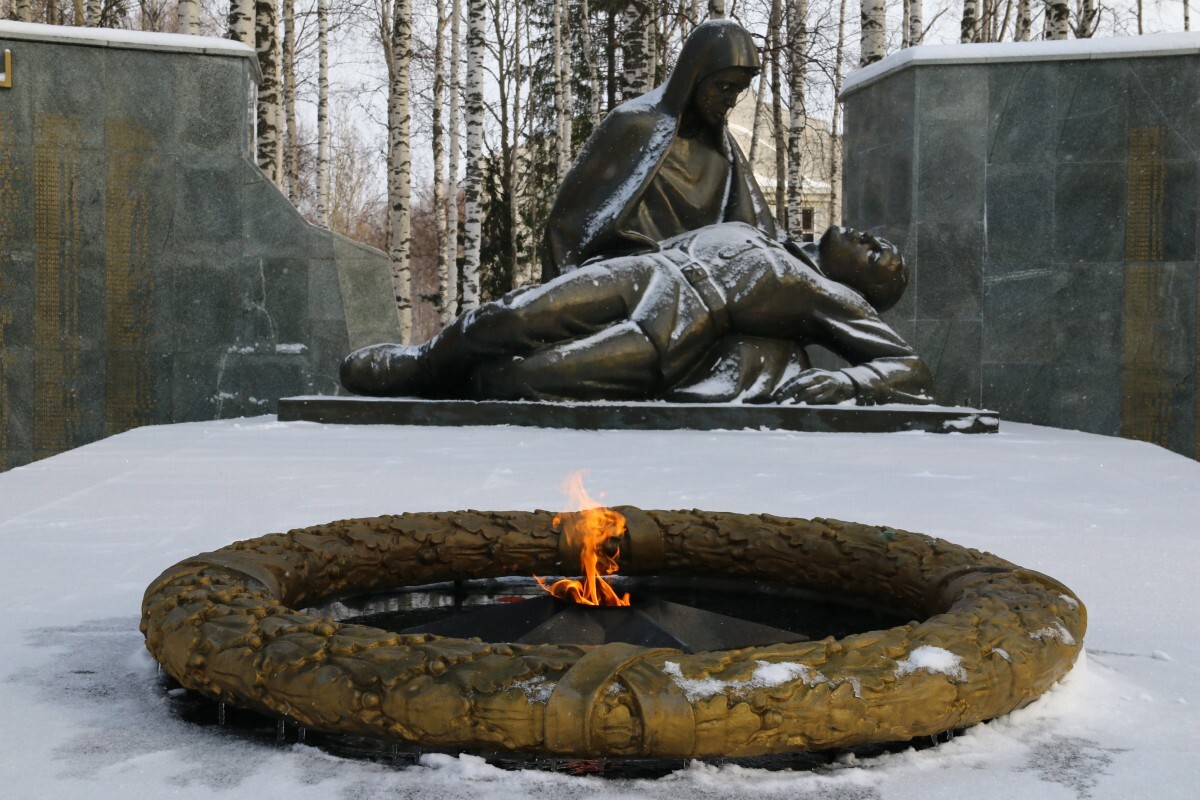 Российские школьники снежками потушили Вечный огонь