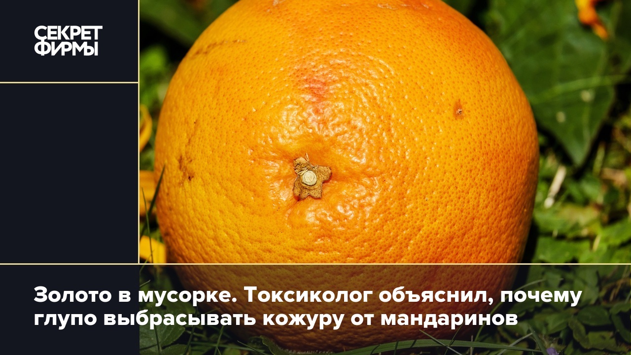 Золото в мусорке. Токсиколог объяснил, почему глупо выбрасывать кожуру от  мандаринов — Секрет фирмы