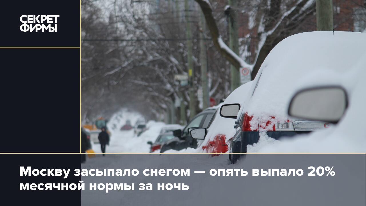 И снова выпадет снег. Москву замело. Замело снегом. В Москве выпал снег. Засыпало, замело.