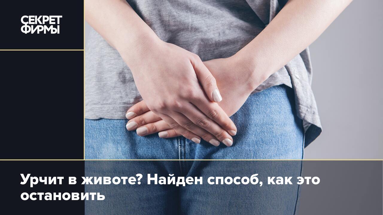 У собаки урчит в животе – почему и что делать?