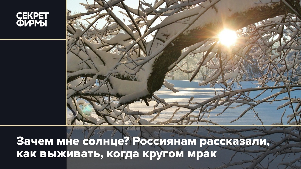 Зачем мне солнце? Россиянам рассказали, как выживать, когда кругом мрак —  Секрет фирмы