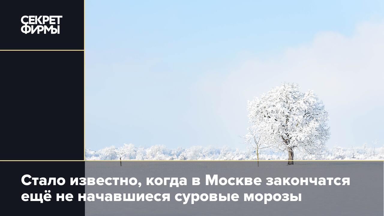 Климат в нашем городе суровый морозы начинаются. Стоят суровые Морозы. Мороз минус 25. Стоят суровые Морозы карточка. Морозы в Москве на следующей неделе аномальные.