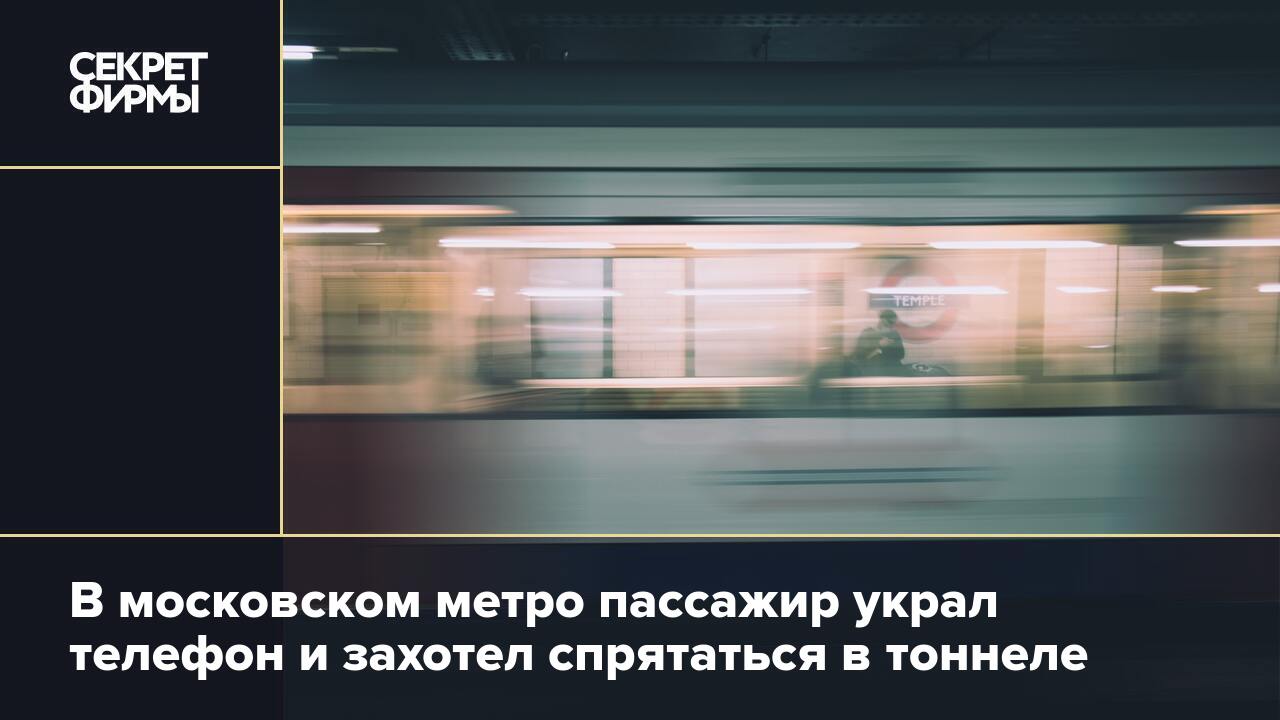 В московском метро пассажир украл телефон и захотел спрятаться в тоннеле —  Секрет фирмы