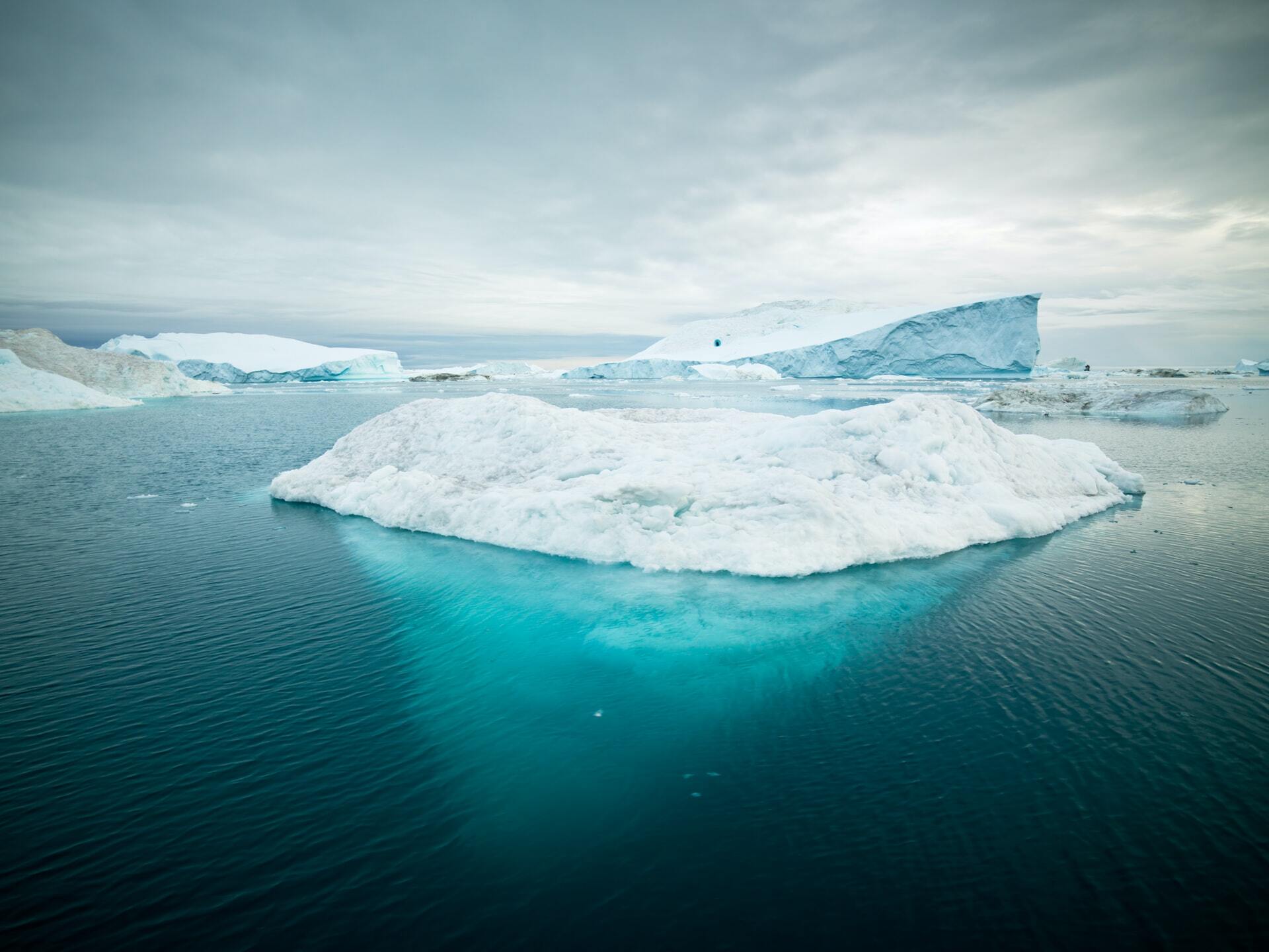 Гляциолог Ананичева предупредила о серьёзных проблемах для человечества из-за отколовшегося в Антарктиде айсберга