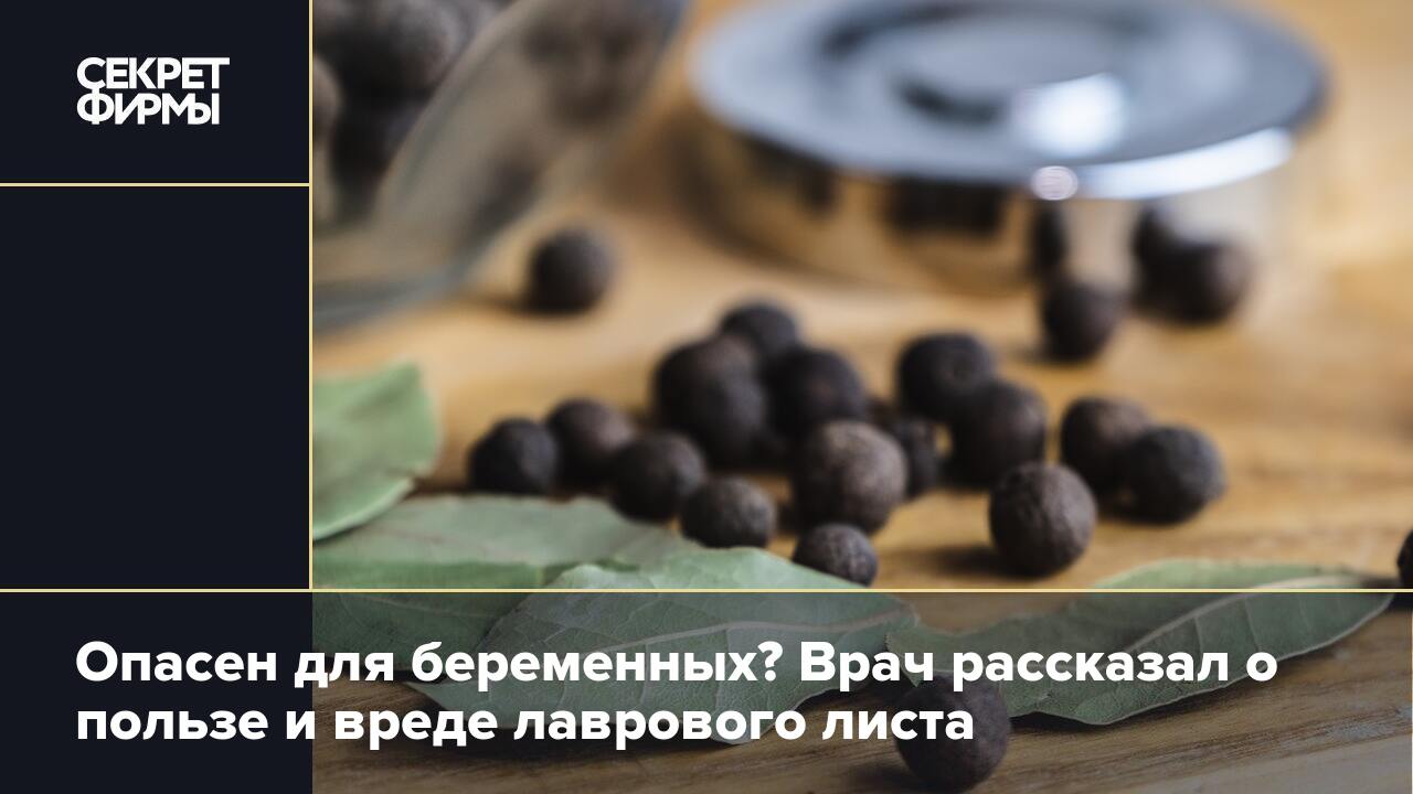 Опасен для беременных? Врач рассказал о пользе и вреде лаврового листа —  Секрет фирмы