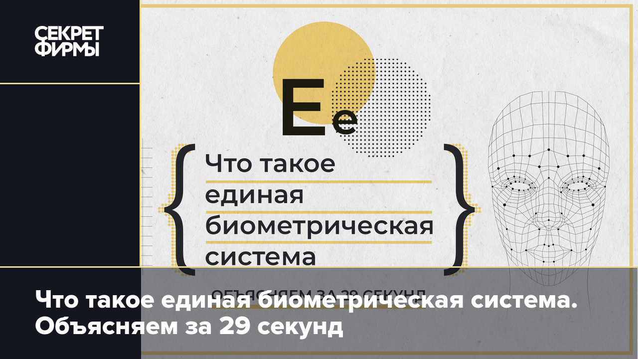 Что такое единая биометрическая система. Единая биометрическая система. Биометрия картинки.